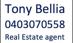 Tony Bellia Real Estate